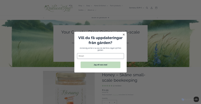 Security scan screenshot of https://paulssonsang.se