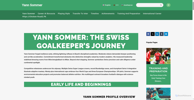 Security scan screenshot of https://yann-sommer.com/