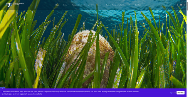 Security scan screenshot of https://www.parchimarinicalabria.it/