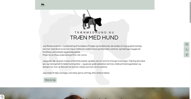 Security scan screenshot of https://xn--trnmedhund-e6a.nu