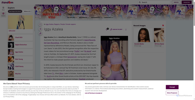 Security scan screenshot of https://iggy-azalea.fandom.com/wiki/Iggy_Azalea