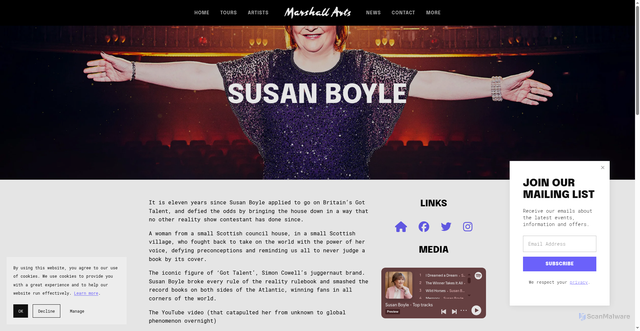Security scan screenshot of https://marshall-arts.com/susan-boyle