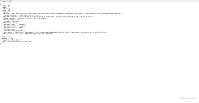 Security scan screenshot of https://httpbin.org/anything