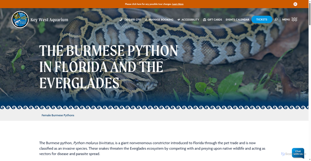 Security scan screenshot of https://www.keywestaquarium.com/burmese-python