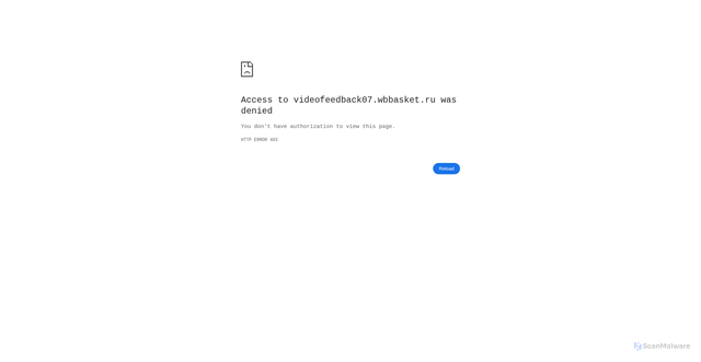 Security scan screenshot of https://videofeedback07.wbbasket.ru