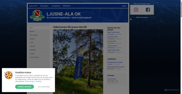 Security scan screenshot of https://ljusnealaok.se