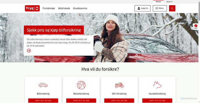 Security scan screenshot of https://tryg.no