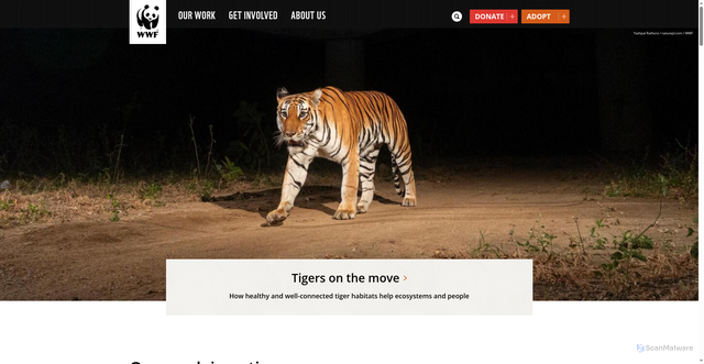 Security scan screenshot of https://savenexium.xyz/