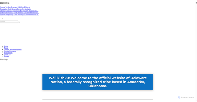 Security scan screenshot of https://www.delawarenation-nsn.gov/