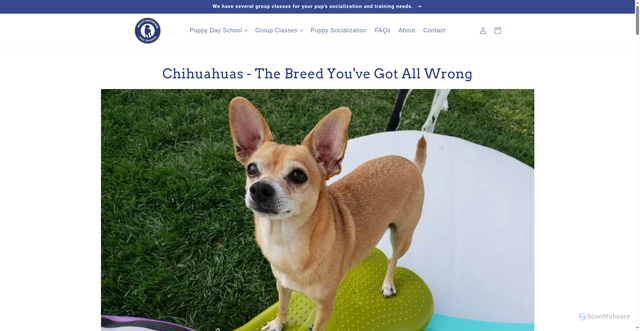 Security scan screenshot of https://rockymountaindogtraining.com/blogs/rmdt-dog-blog/chihuahuas-the-misunderstood-breed?srsltid=AfmBOorGlmpBAtRZEuY3KZbvIObl72M0c_XyH-GAW9nclAc0sn7tPRd5