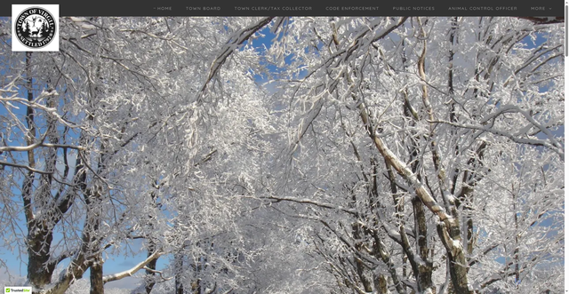 Security scan screenshot of https://virgilny.gov/