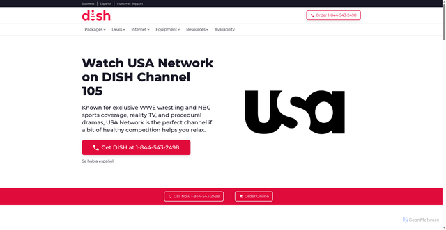 Security scan screenshot of https://www.usdish.com/tv/channels/usa-network
