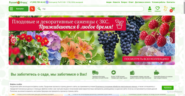 Security scan screenshot of https://www.ncsemena.ru