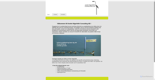 Security scan screenshot of https://hagerfelthconsulting.se