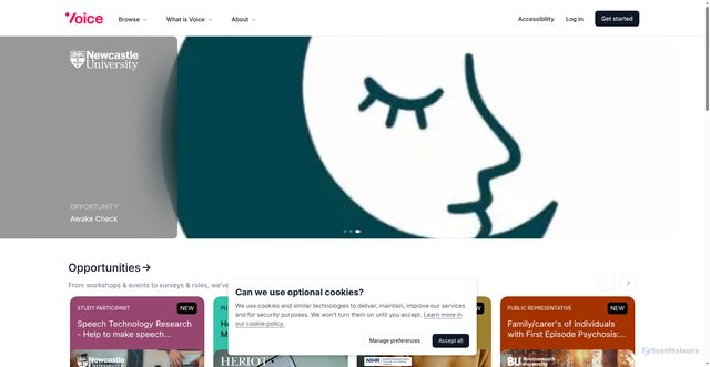 Security scan screenshot of https://voice-global.org/