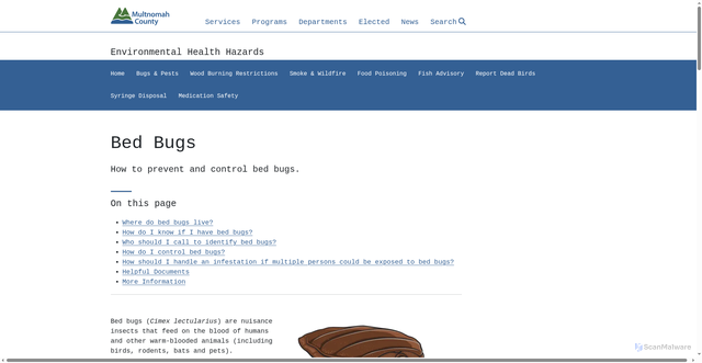 Security scan screenshot of https://multco.us/info/bed-bugs