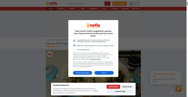 Security scan screenshot of https://www.nefisyemektarifleri.com/enginarli-pilav-yapimi/