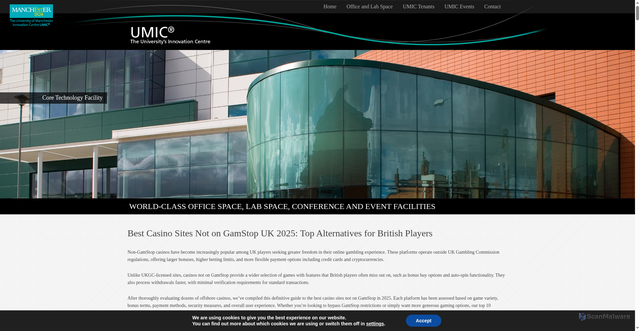 Security scan screenshot of https://www.umic.co.uk/
