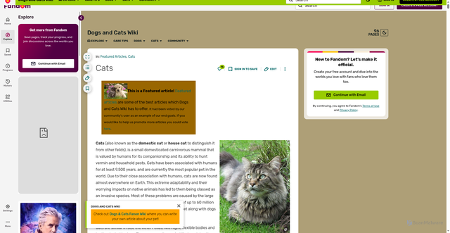 Security scan screenshot of https://dogs-cats.fandom.com/wiki/Cats