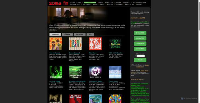 Security scan screenshot of https://api.somafm.com