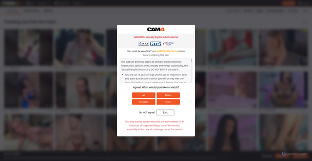 Security scan screenshot of https://www.cam4.de.com