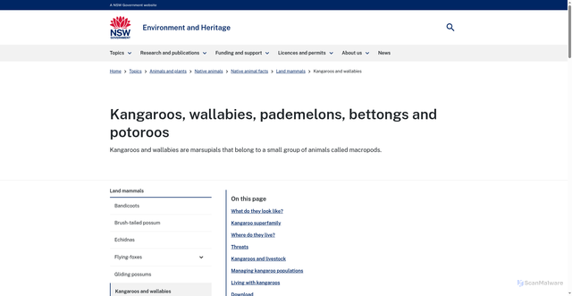 Security scan screenshot of https://www.environment.nsw.gov.au/topics/animals-and-plants/native-animals/native-animal-facts/land-mammals/kangaroos-and-wallabies