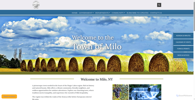 Security scan screenshot of https://townofmilony.gov/
