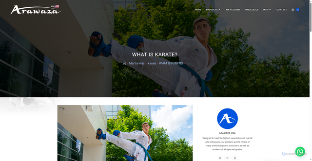 Security scan screenshot of https://www.arawazausa.com/en/martial-arts/karate-do/what-is-karate/