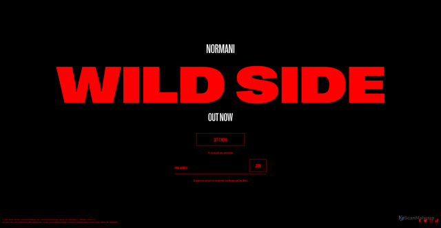 Security scan screenshot of https://www.normaniwildside.com/