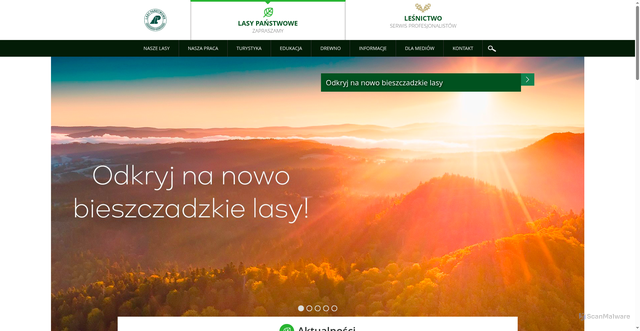 Security scan screenshot of https://lasy.gov.pl