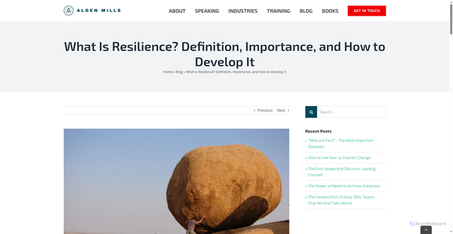 Security scan screenshot of https://www.alden-mills.com/blog/2022/04/what-is-resilience-definition-importance-and-how-to-develop-it