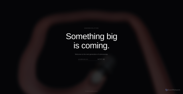 Security scan screenshot of https://revolutionendo.com/signup