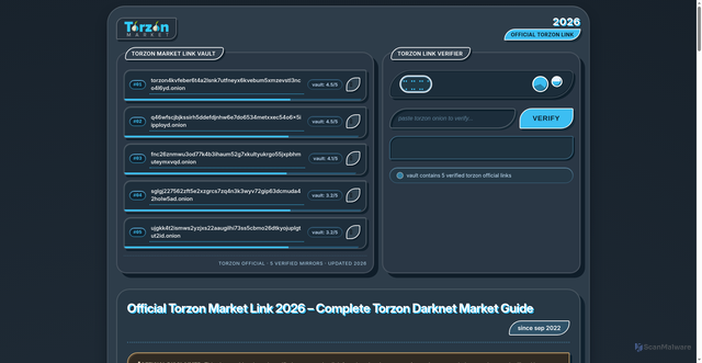 Security scan screenshot of https://torzon-mirrors.cfd/
