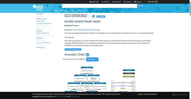Security scan screenshot of https://www.ebi.ac.uk/QuickGO/term/GO:0006302