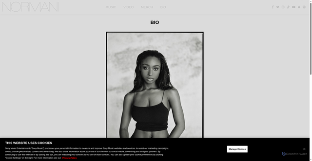 Security scan screenshot of https://www.officialnormani.com/bio/