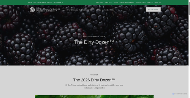 Security scan screenshot of https://www.ewg.org/foodnews/dirty-dozen.php