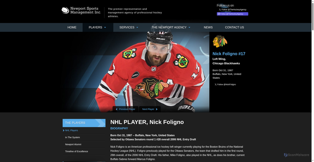 Security scan screenshot of https://www.thehockeyagency.com/players-detail/64