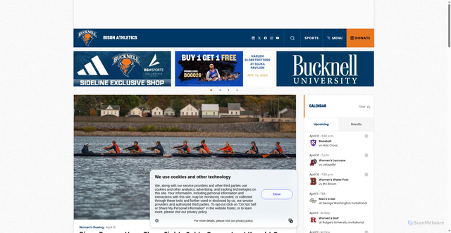 Security scan screenshot of https://bucknellbison.com