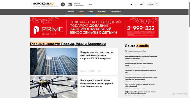 Security scan screenshot of https://gorobzor.ru