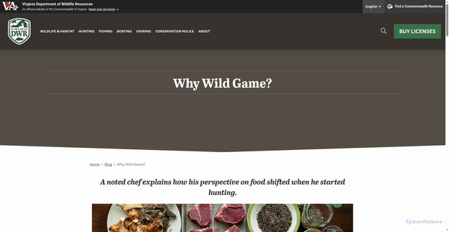 Security scan screenshot of https://dwr.virginia.gov/blog/why-wild-game/