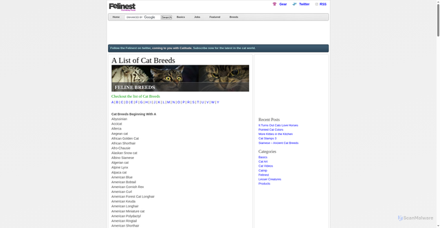 Security scan screenshot of https://www.felinest.com/breeds/