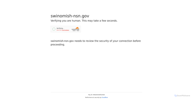 Security scan screenshot of https://swinomish-nsn.gov/