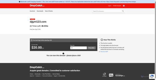 Security scan screenshot of http://dgym123.com/
