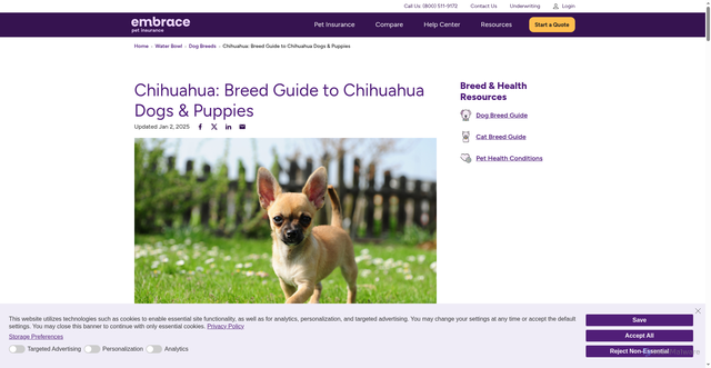 Security scan screenshot of https://www.embracepetinsurance.com/dog-breeds/chihuahua?srsltid=AfmBOop9EUvdzbROts37lmGPTiE3EVu3pGmf88_LE98tPjBVfC6rwAw4