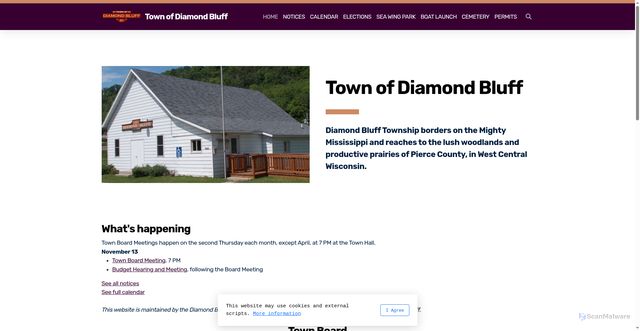 Security scan screenshot of https://diamondbluffwi.gov/