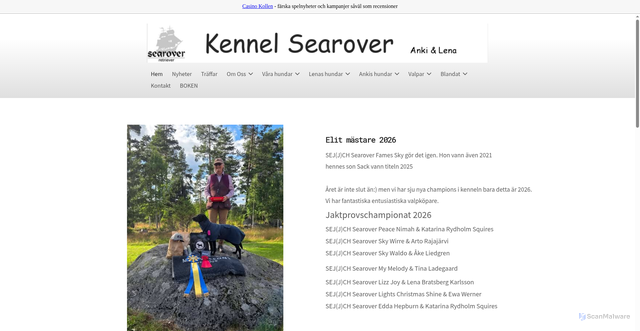 Security scan screenshot of https://searover.nu