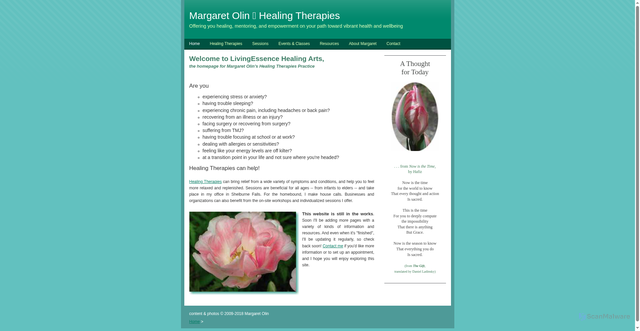 Security scan screenshot of http://livingessencehealingarts.com/
