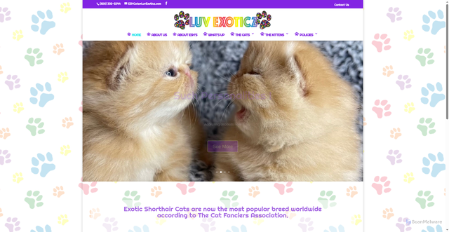 Security scan screenshot of https://luvexoticz.com
