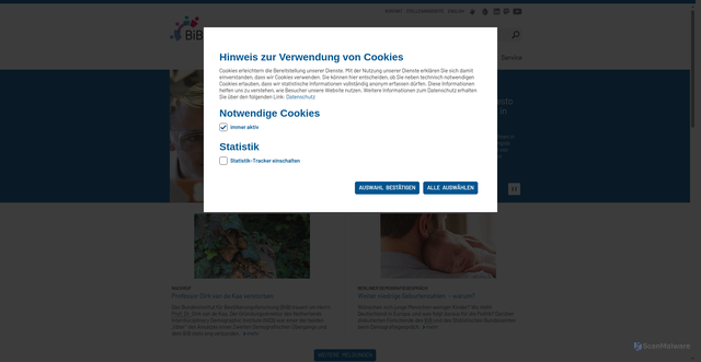 Security scan screenshot of http://www.bib-demographie.de