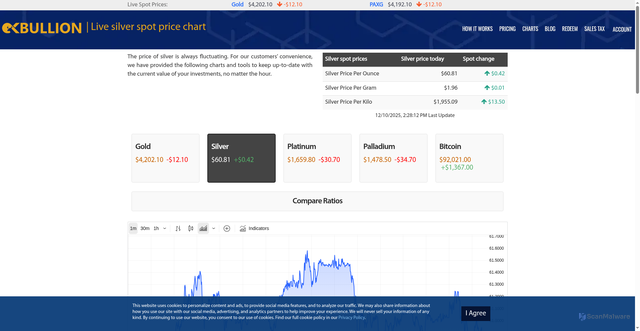 Security scan screenshot of https://alphabullion.com/charts/silver-price/